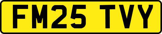 FM25TVY