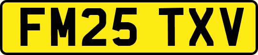 FM25TXV