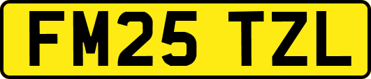 FM25TZL