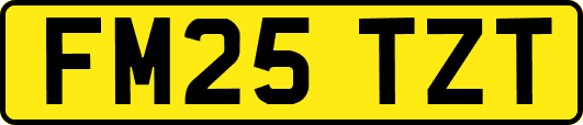 FM25TZT