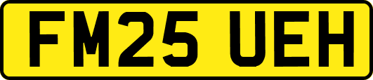 FM25UEH