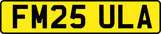FM25ULA