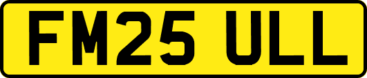 FM25ULL