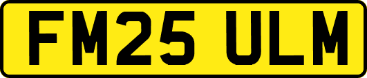 FM25ULM