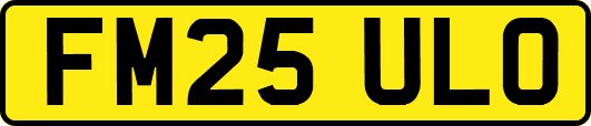FM25ULO
