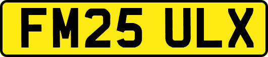 FM25ULX