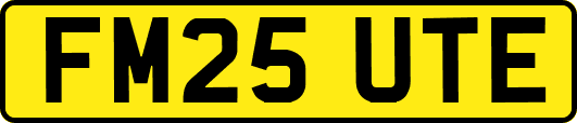 FM25UTE