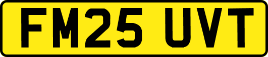 FM25UVT