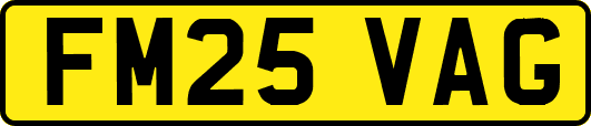 FM25VAG