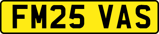 FM25VAS