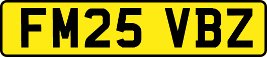 FM25VBZ