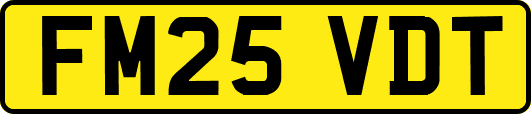FM25VDT