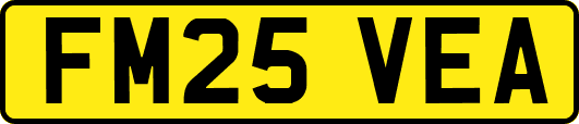 FM25VEA
