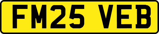 FM25VEB