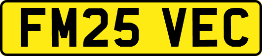 FM25VEC