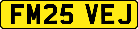 FM25VEJ