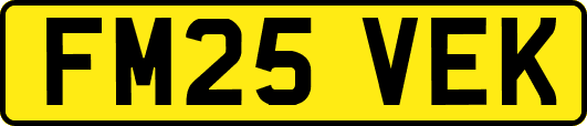 FM25VEK