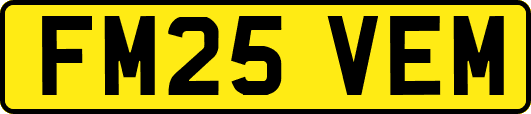 FM25VEM