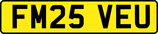 FM25VEU