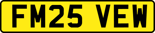 FM25VEW