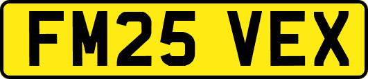 FM25VEX