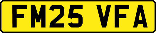 FM25VFA