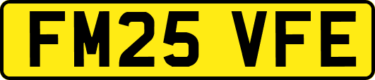 FM25VFE