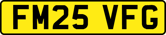 FM25VFG