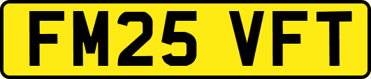 FM25VFT
