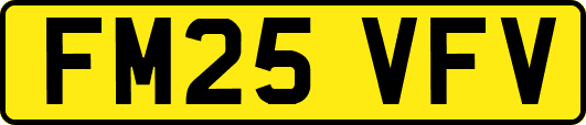 FM25VFV