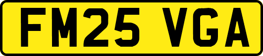 FM25VGA