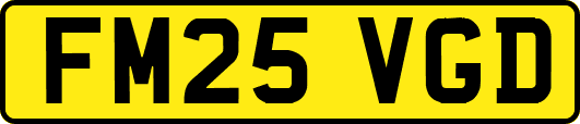 FM25VGD