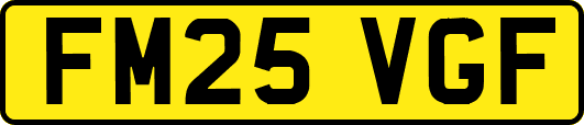 FM25VGF