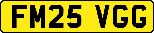 FM25VGG