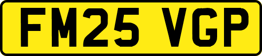 FM25VGP