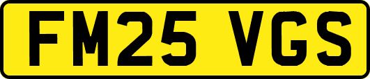 FM25VGS
