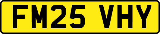 FM25VHY