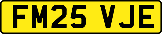 FM25VJE
