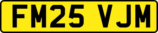 FM25VJM