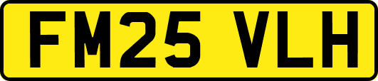 FM25VLH