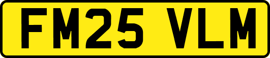 FM25VLM