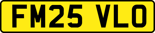 FM25VLO