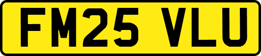 FM25VLU