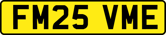 FM25VME
