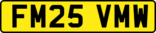 FM25VMW
