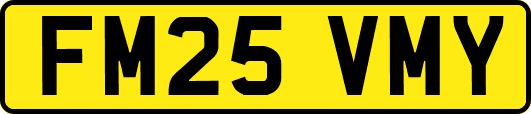 FM25VMY