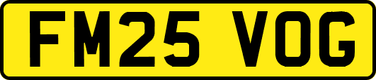 FM25VOG