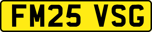 FM25VSG
