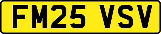 FM25VSV