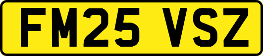 FM25VSZ
